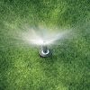 Rain Bird 5-Pack Adjustable Spray Nozzles for Lawn-5