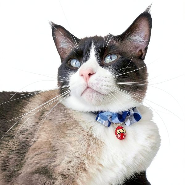 Cat Collar Charms by MOON-X USA Inc. Kimono Print Adjustable-3