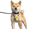 QfwdfcTrenz Pet Flower Collar Chiffon Soft Unisex Adult-2