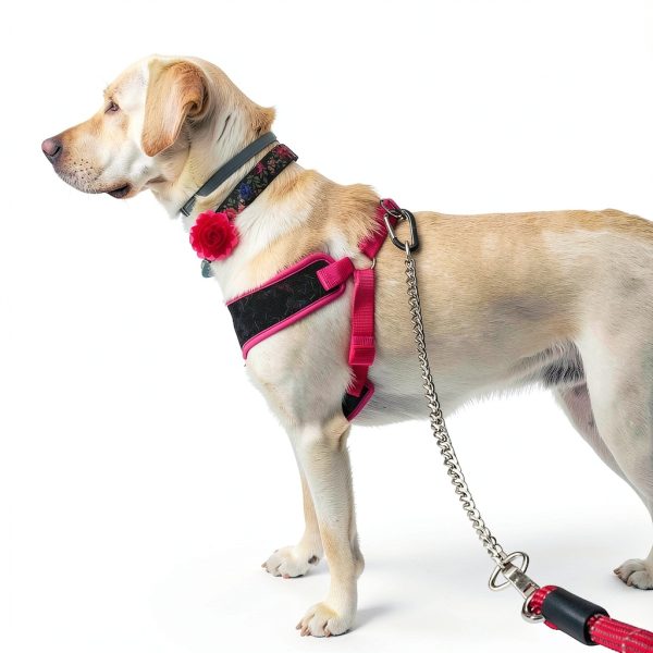 QfwdfcTrenz Pet Flower Collar Chiffon Soft Unisex Adult-6