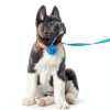 QfwdfcTrenz Pet Flower Collar Chiffon Soft Unisex Adult-4
