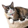 Cat Collar Charms by MOON-X USA Inc. Kimono Print Adjustable-4