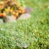Rain Bird Adjustable Nozzle Stainless Steel Lawn Sprinkler-8