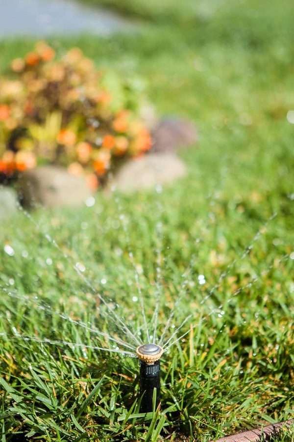 Rain Bird Adjustable Nozzle Stainless Steel Lawn Sprinkler-8