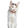 Cat Collar Charms by Wontee Soft Jingle-1