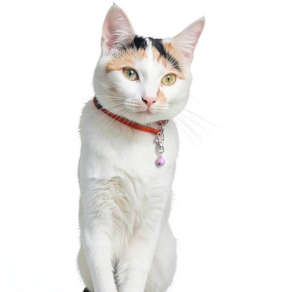 Cat Collar Charms by Wontee Soft Jingle-1