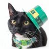 Upaw Irish Cat Collar Charms Adjustable Breakaway-3