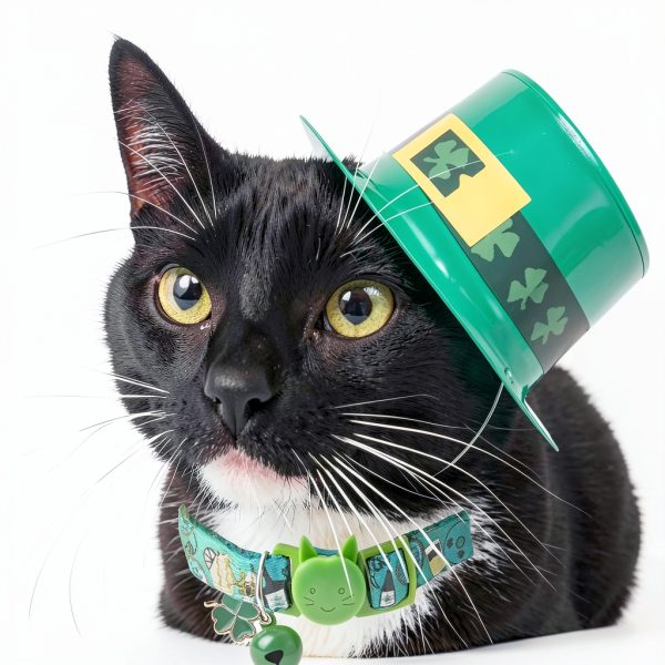 Upaw Irish Cat Collar Charms Adjustable Breakaway-3