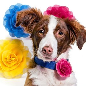 QfwdfcTrenz Pet Flower Collar Chiffon Soft Unisex Adult-0