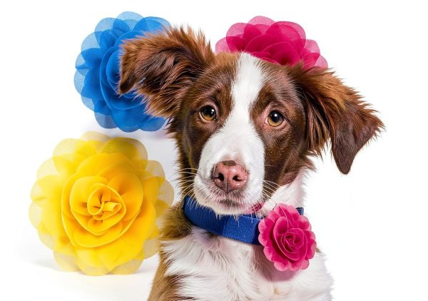 QfwdfcTrenz Pet Flower Collar Chiffon Soft Unisex Adult-0
