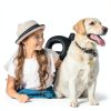 Landical Cat Dog Collar Bells Petite Metal Design-4