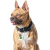 Pet Collar Bell KALIONE Metal Loud Design-5