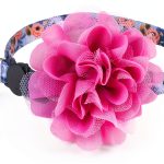 Cat Collar Charm Upaw Purple Flower Adjustable-0