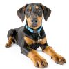 Brass Pet Collar Bell by Fyntave 5232SWYF9036 Rust‑Resistant Charm-4