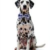 Plaid Dog Bow Tie Set 10‑Piece – Soft Polyester‑Cotton, Adjustable-5