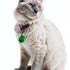 BLMHTWO Cat Collar Charms 8PCS Colored Bells with Lobster Clasps-4