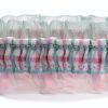 Blueberry Pet Cat Collar Choker with Bow and Pearl Charm One Size-2