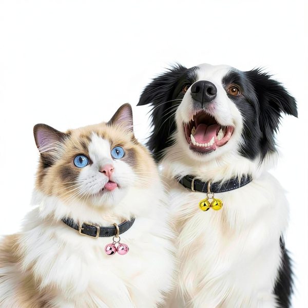 PetBellz Steel Collar Bells 12 Pack 6 Colors Charms for Cats & Dogs-4