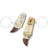 Amazing Gemstone Dinosaur Animal Shark Teeth Fossil Bulk-2