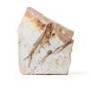 Real Fish Fossil by zonzxcv Liaoning China 150 Myr Fossil Plate-1