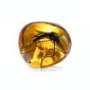 Mosquito in Amber Replica VEOJEIN Resin Fossil for Paleontology-5