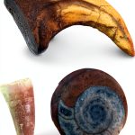 Dinosaur & Fossil Discovery Bundle – Velociraptor Claw Replica, Genuine Mosasaur Tooth & Ammonite Fossil (Set of 3)-0