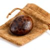 Petoskey Stone (Polished) Rock Hexagonaria | Beautiful Fossil with Nice Gift Bag-1