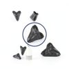 Megalodon Tooth, Black Shark Tooth,Megalodon Fossil with Serrations Sawtooth, Megalodon Tooth Fossil Replica for, Collectors, Teachers, Children and Fossil Lovers, 5.5 Inch Giant Shark Teeth(Replica)-5