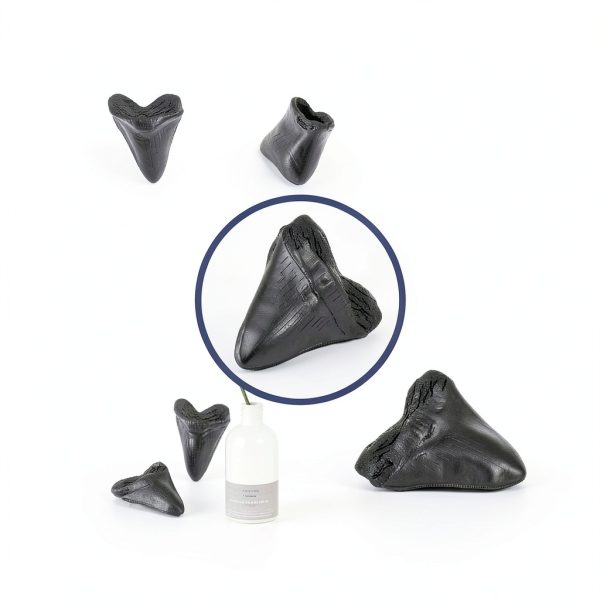 Megalodon Tooth, Black Shark Tooth,Megalodon Fossil with Serrations Sawtooth, Megalodon Tooth Fossil Replica for, Collectors, Teachers, Children and Fossil Lovers, 5.5 Inch Giant Shark Teeth(Replica)-5