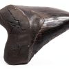 Megalodon Tooth 5 1/4'' Fossil by Total Deconstruction Impressive Size-2