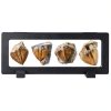 Trilobite Tail Fossil Kit Lanxitown 400Myr Fossils with Display Stand-0