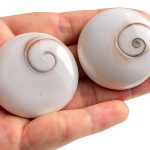 Acxico Natural Sun Shell Shiva Eye Fossil Crystal Reiki Healing Stone-0