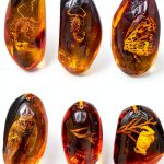Amber Fossil Pendant VORCOOL 5pcs Oval Amber with Insects Sample-0