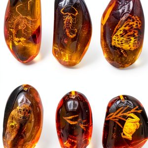 Amber Fossil Pendant VORCOOL 5pcs Oval Amber with Insects Sample-0