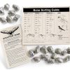 Barn Owl Pellet Small Pack of 20 – Pellets Inc Fossil Specimen-1