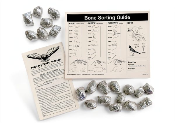 Barn Owl Pellet Small Pack of 20 – Pellets Inc Fossil Specimen-1