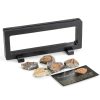 Trilobite Tail Fossil Kit Lanxitown 400Myr Fossils with Display Stand-2
