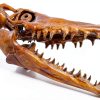 Genuine Ancient Mosasaur Huge Dinosaur Tooth Fossil from Near Khourigba,Morocco, N.Africa with Free Floating Frame Display Case, Acrylic Stand & COA Bundle-3
