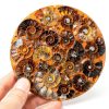 Natural Ammonite Fossil Disc Cintoko Feng Shui Home Decor with Stand-3