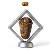 Calymene Trilobite Fossil by LuxeVib 570Myr Real Fossil with Frame-0