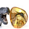 Mosquito in Amber Replica VEOJEIN Resin Fossil for Paleontology-2