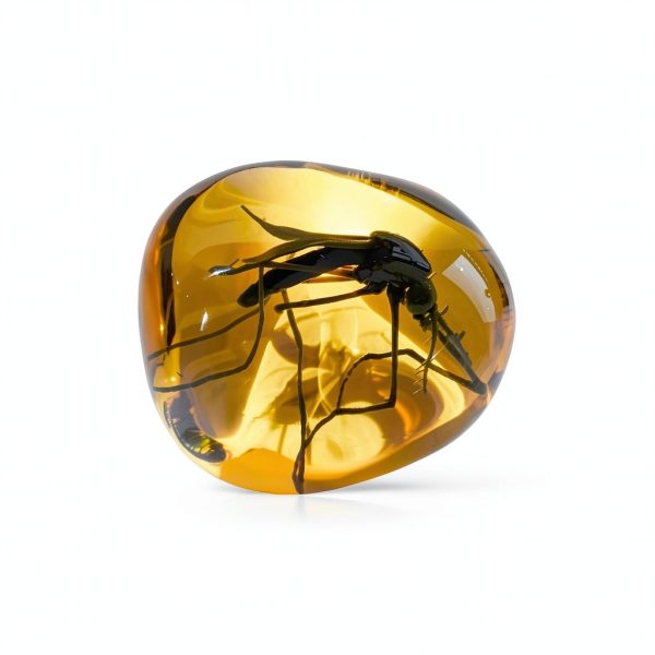 Mosquito in Amber Replica VEOJEIN Resin Fossil for Paleontology-6