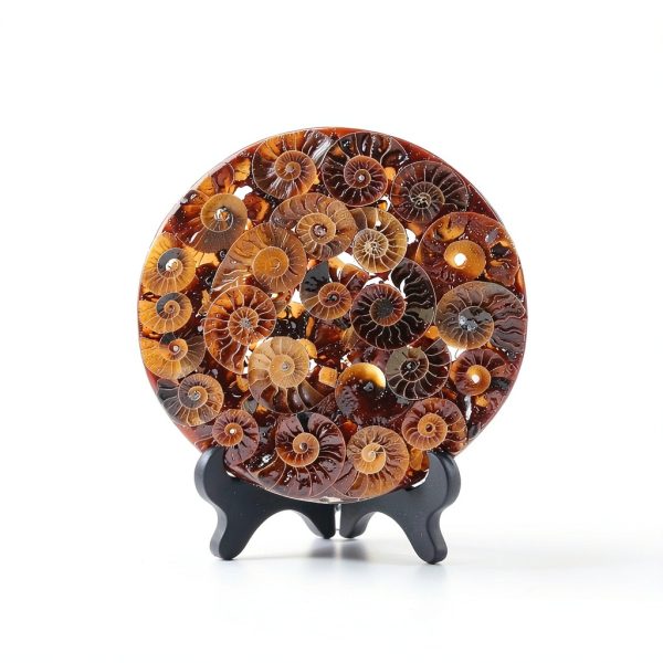 Natural Ammonite Fossil Disc Cintoko Feng Shui Home Decor with Stand-5