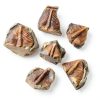 Trilobite Tail Fossil Kit Lanxitown 400Myr Fossils with Display Stand-5