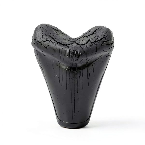 Megalodon Tooth, Black Shark Tooth,Megalodon Fossil with Serrations Sawtooth, Megalodon Tooth Fossil Replica for, Collectors, Teachers, Children and Fossil Lovers, 5.5 Inch Giant Shark Teeth(Replica)-3
