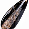 KALIFANO Authentic Orthoceras Fossil Extinct Cephalopod Shell Morocco-0