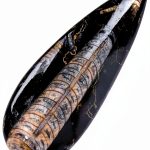 KALIFANO Authentic Orthoceras Fossil Extinct Cephalopod Shell Morocco-0