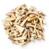 1/2 LB Shark Teeth Bulk Fossils Wholesale - Real Authentic Shark Tooth - High Grade Fossils-2