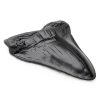 Carcharodon Megalodon Shark Tooth POXXU 5.5 inch Serrated Fossil-0