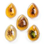 Acxico 5pcs Amber Fossil with Insects Samples Stones Crystal Specimens Home Decorations Collection Oval Pendant (Green Armor + Scorpion + Flower Butterfly + Wasp + Spider)-0